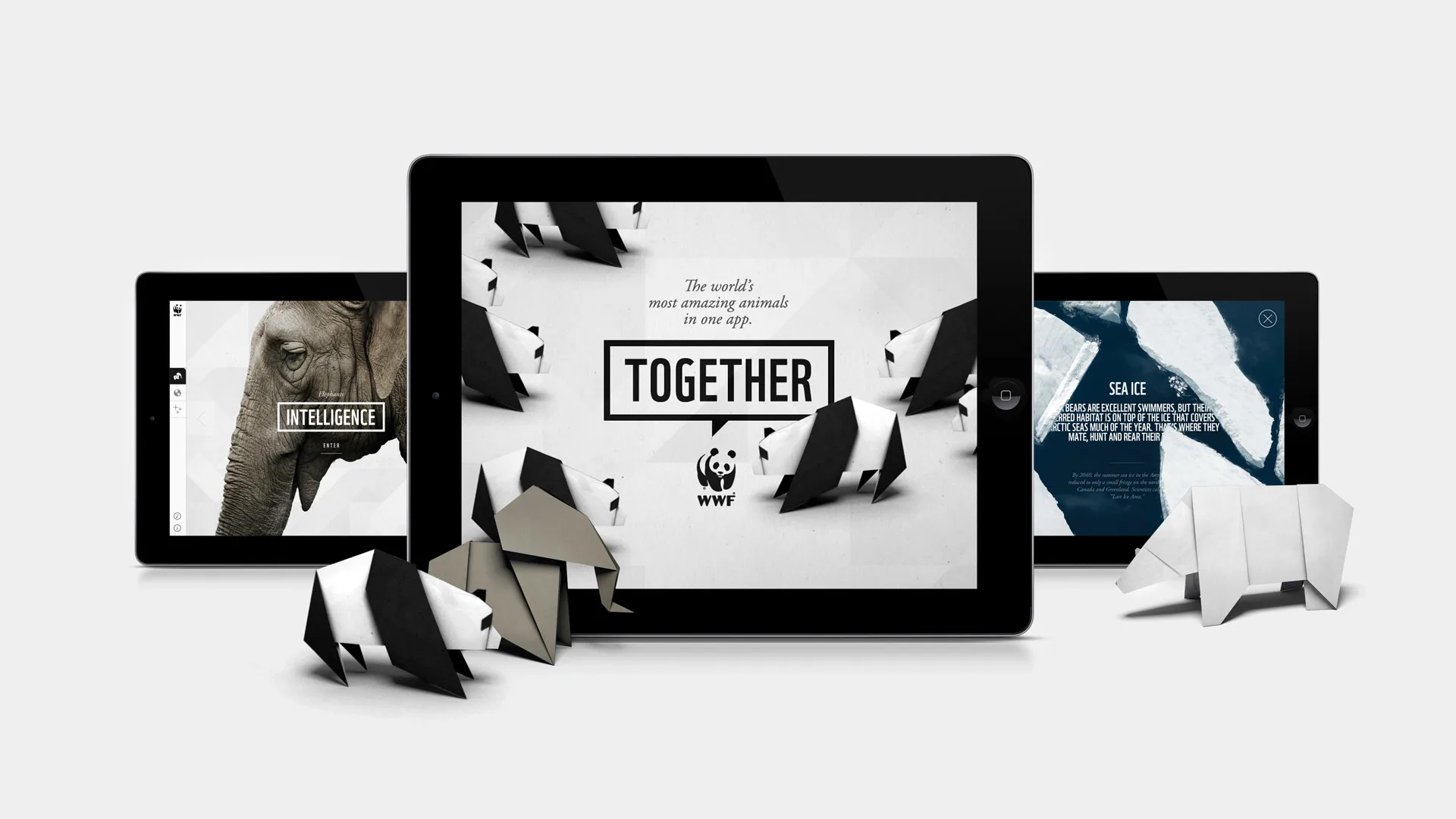 WWF Together